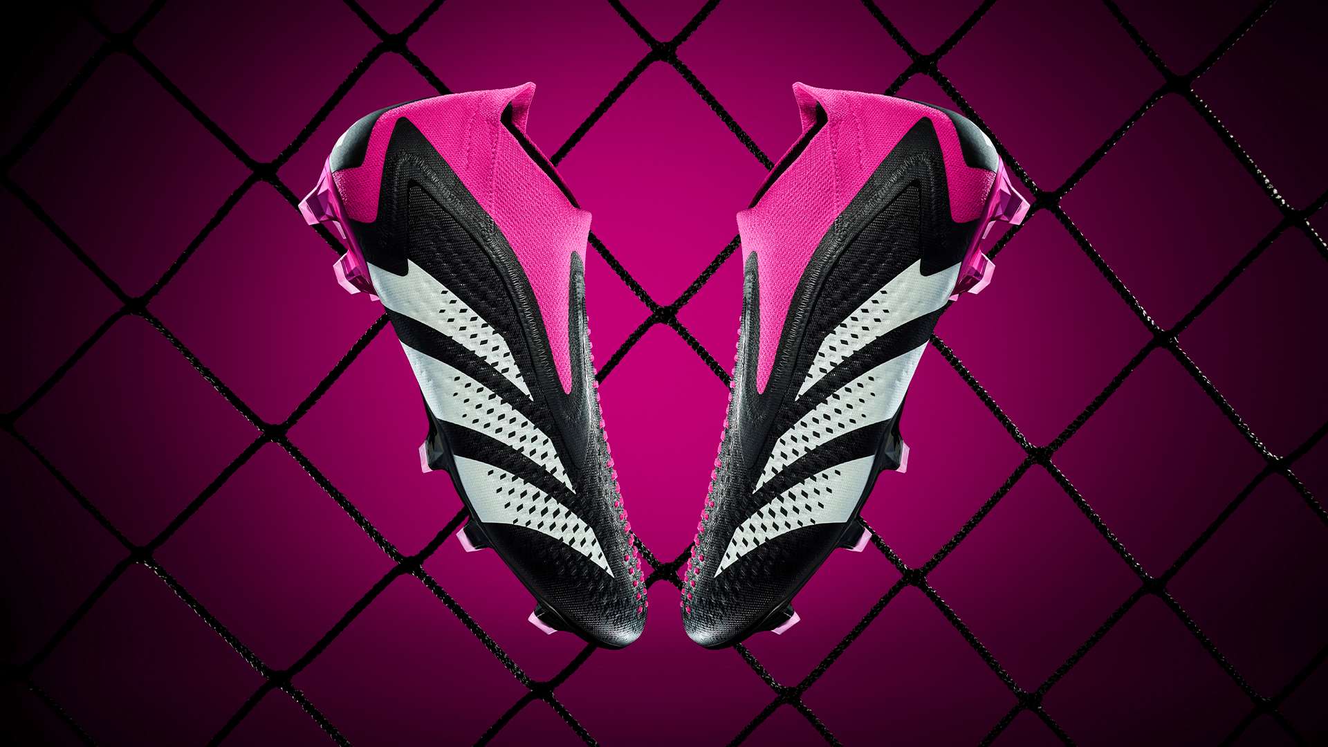 将到来的重 将到来的重