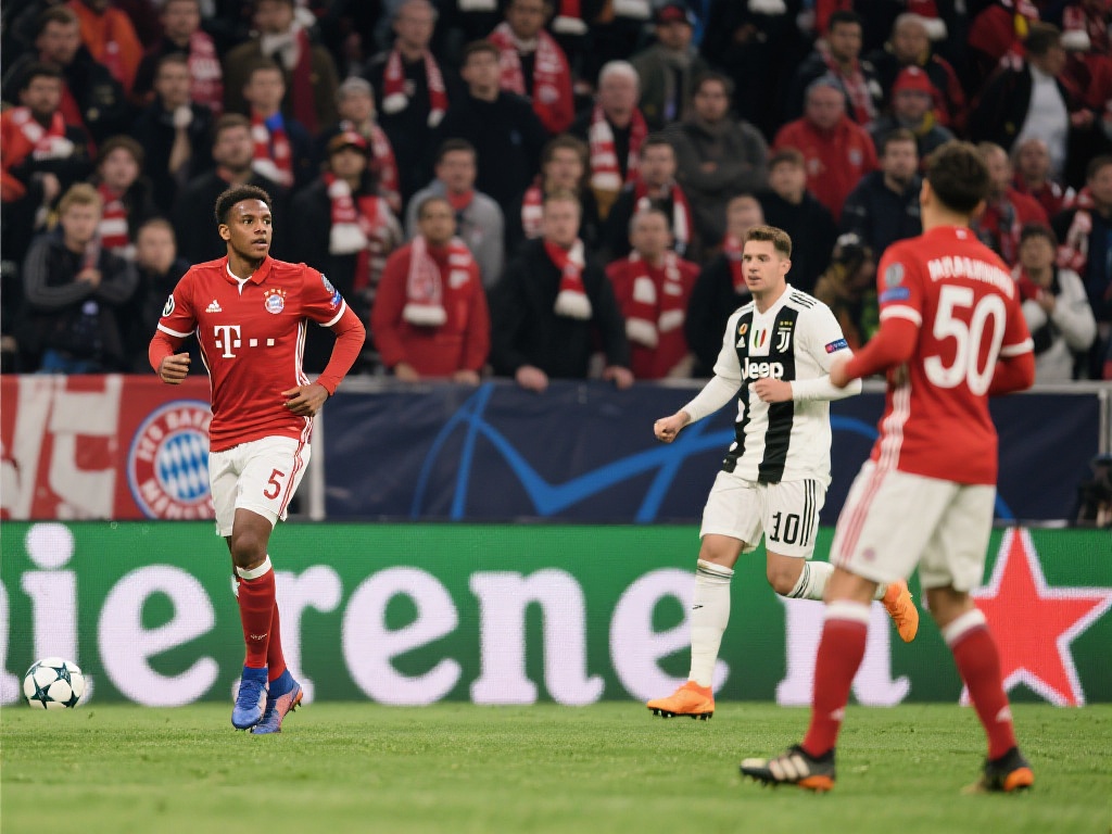 作为荷兰的 作为荷兰的